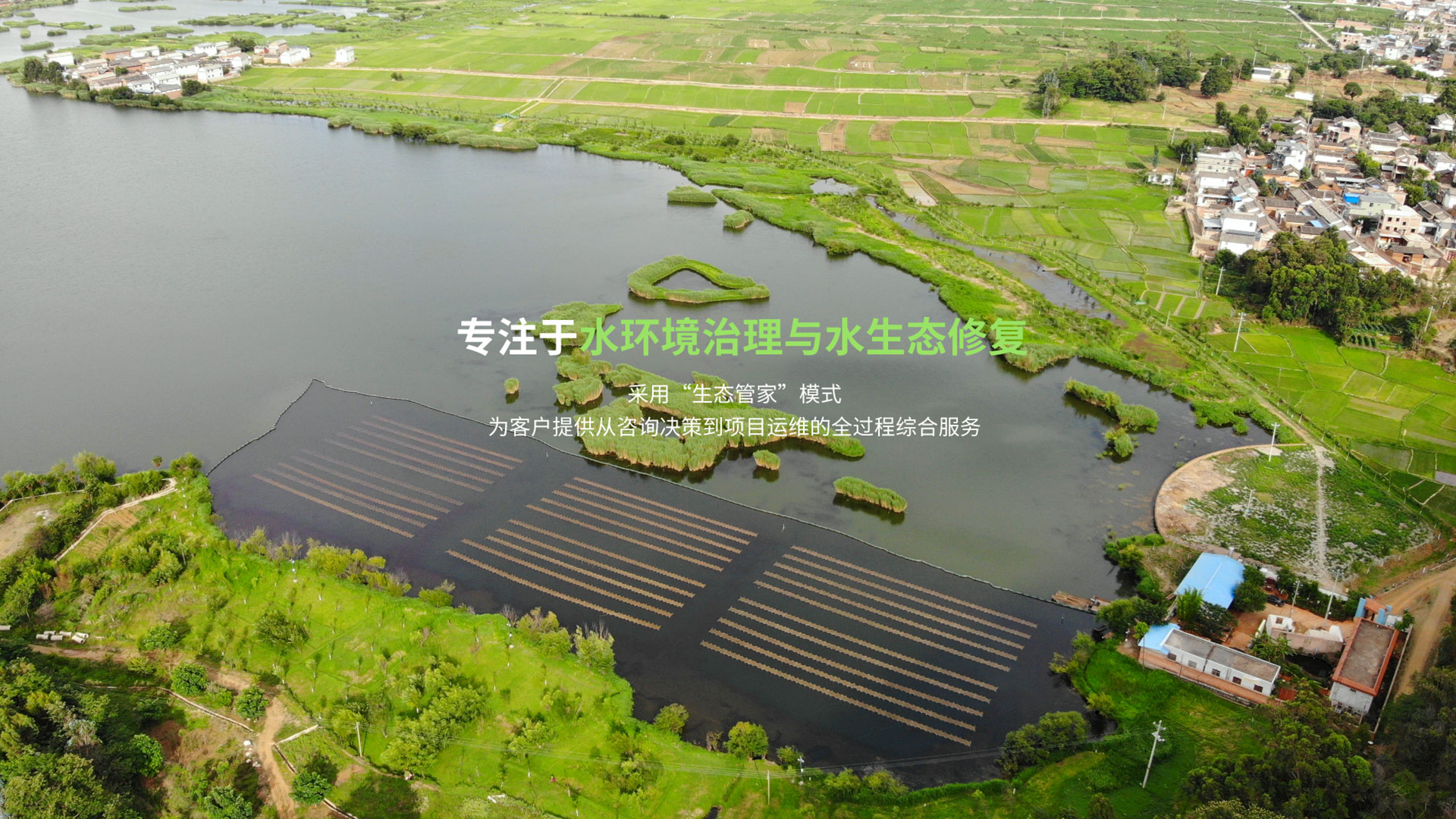 水生態修復